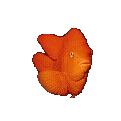 Peixe Vermelho Japons